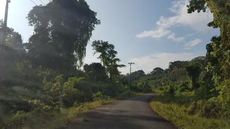 Main road in Enggano